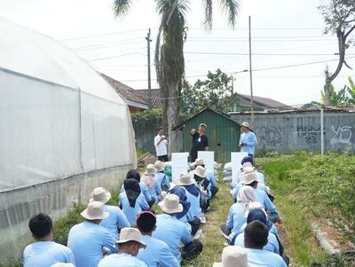Sekolah Lapang Budidaya Melon Pertemuan Ke-5: Fokus Praktik Perawatan Intensif di Greenhouse