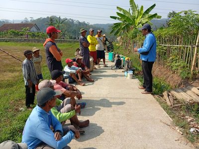 Sinergi PPL, POPT, dan Petani: Kendalikan Hama Wereng Coklat di Poktan Sri Redjeki Wonokerto